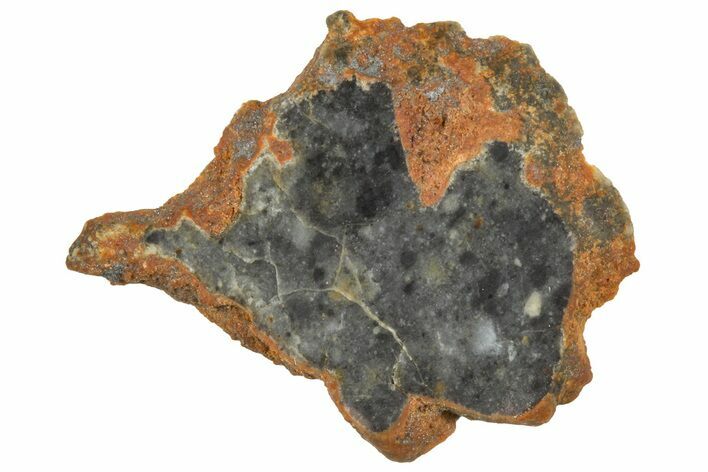 Lunar Meteorite ( g) Slice - Bechar #360551